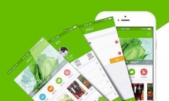 農(nóng)業(yè)電商小程序開發(fā)有什么作用？