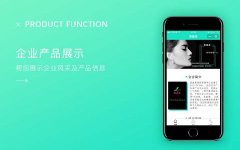 企業(yè)展示小程序開發(fā)公司哪家好？
