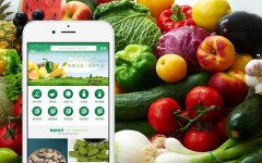 廣州特產商城app開發(fā)成本費用需要多少錢？