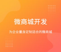 上海app開發(fā)公司：微商城app開發(fā)主要核心功能有