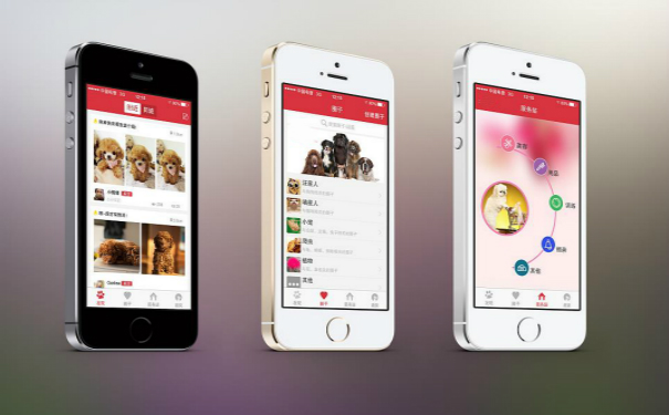 寵物店app<a href='http://www.gyrmgh.com/' target='_blank'><u>軟件開(kāi)發(fā)</u></a>,深圳<a href='http://www.gyrmgh.com/' target='_blank'><u>app開(kāi)發(fā)</u></a>