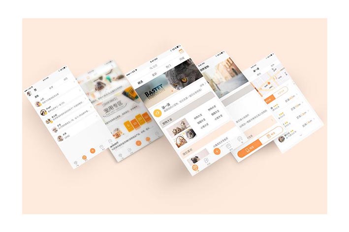 為什么要進(jìn)行寵物社群APP開發(fā)
