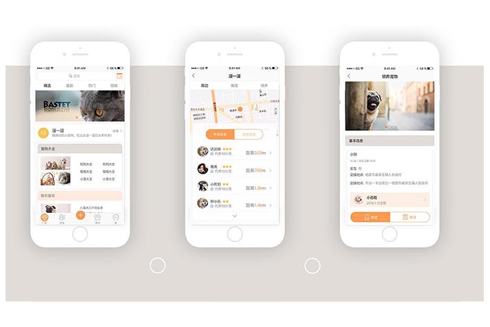 為什么要進(jìn)行寵物社群APP開發(fā)