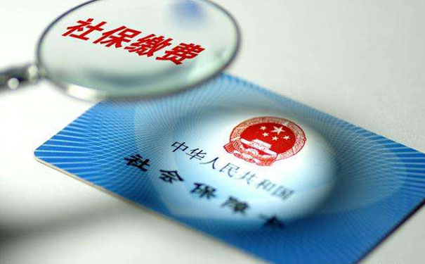 12333社保查詢網(wǎng)-標(biāo)點(diǎn)軟件