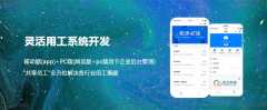 靈活用工系統(tǒng)開發(fā)后是一個什么模式？