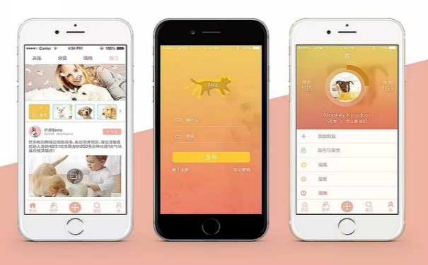 寵物電商APP開發(fā),廣州APP開發(fā)