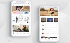 保定B2C電商app開發(fā)模式簡介