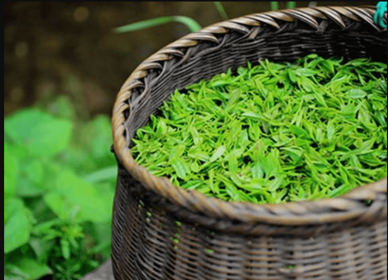 茶葉商城APP開發(fā)公司APP<a href='http://www.gyrmgh.com/xcx/' target='_blank'><u><a href='http://www.gyrmgh.com/xcx/' target='_blank'><u>小程序</u></a>開發(fā)</u></a>公司怎么樣？