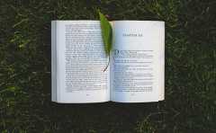 小說閱讀APP開發(fā)需要有哪些核心功能？