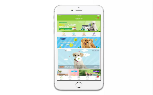 關于寵物類APP開發(fā),廣州APP開發(fā)