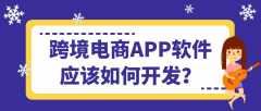 跨境電商APP開發(fā)常見功能有哪些？