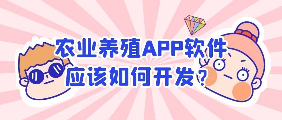APP開(kāi)發(fā)設(shè)計(jì)