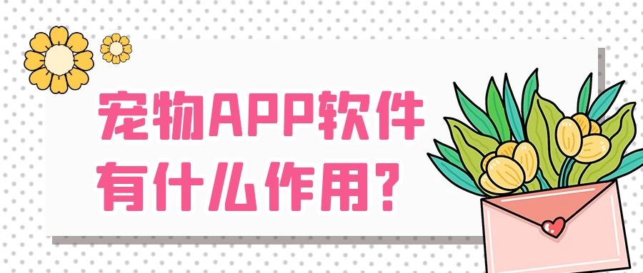 APP開發(fā)設(shè)計(jì)