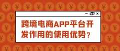 跨境電商APP開發(fā)優(yōu)勢是什么？有成品案例嗎？