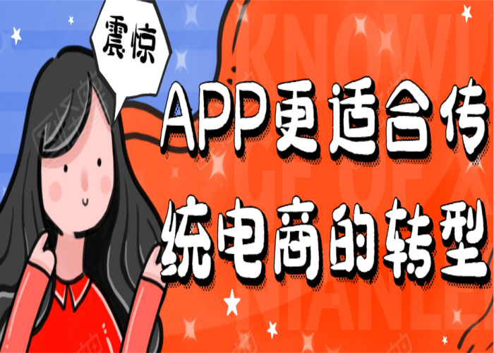 APP開(kāi)發(fā)設(shè)計(jì)