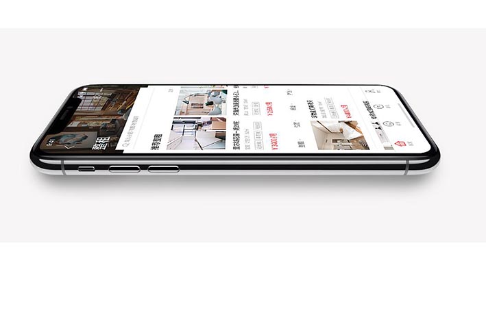 大城市租房子APP開發(fā)軟件怎樣開展服務(wù)平臺健全
